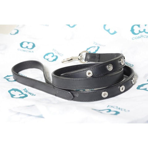 The 60" Concha Leash:  3/4" wide