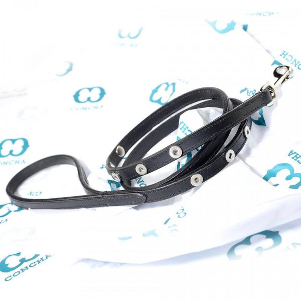 The 54" Concha Leash:  1/2" wide